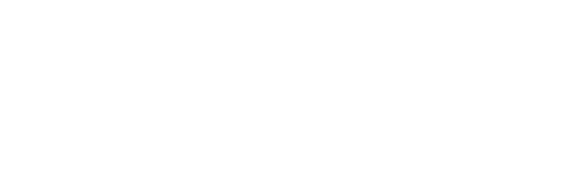 Universidad del Desarrollo — Facultad de Diseño